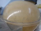 Recambio de deposito expansion para citroën c-elysée 1.6 16v cat (nfp / ec5m) referencia OEM IAM 9800777280  