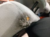 Recambio de asientos traseros para citroën c3 i (fc_, fn_) 1.4 16v hdi referencia OEM IAM 8845GR 8845GR 