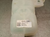 Recambio de deposito expansion para kia niro (de) 1.6 gdi hybrid referencia OEM IAM 25430G2800 25430G2800 