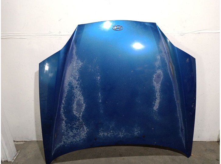 Recambio de capot para hyundai coupe (gk) 1.6 fx referencia OEM IAM 664002C020 664002C020 
