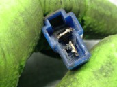 Recambio de elevalunas delantero izquierdo para subaru forester s10 (sf) 2.0 cat referencia OEM IAM 62112FC010 62112FC010 