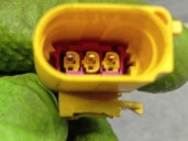 Recambio de modulo electronico para audi a3 limousine (8vs, 8vm) 1.6 tdi referencia OEM IAM 8V0823823F  0589P1000192