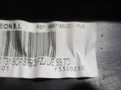 Recambio de guarnecido puerta delantera derecha para peugeot 206+ 1.4 hdi referencia OEM IAM 96871853ZD 9687178177 