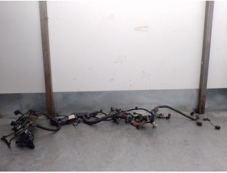 Recambio de cableado para bmw serie 1 lim. (f20) 2.0 turbodiesel referencia OEM IAM 850789307 EMJ381G 