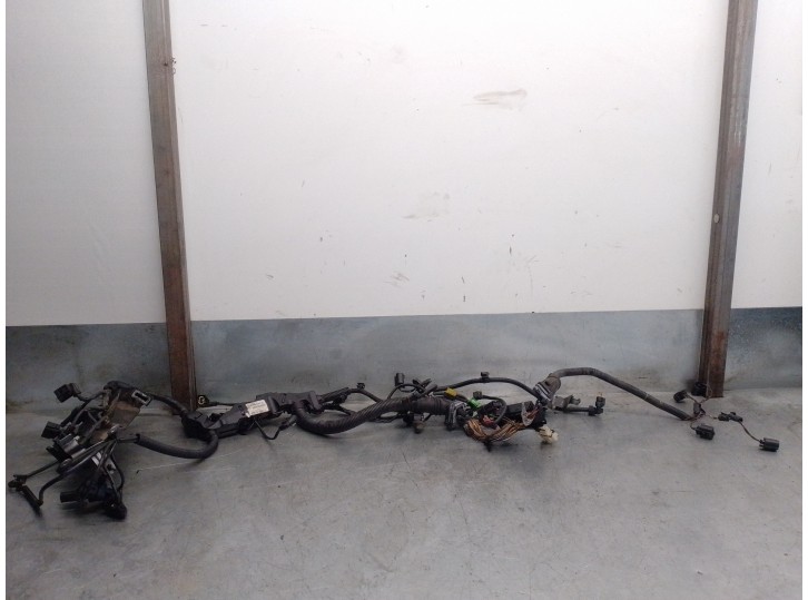 Recambio de cableado para bmw serie 1 lim. (f20) 2.0 turbodiesel referencia OEM IAM 850789307 EMJ381G 