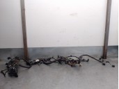 Recambio de cableado para bmw serie 1 lim. (f20) 2.0 turbodiesel referencia OEM IAM 850789307 EMJ381G 