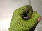 Recambio de mangueta delantera derecha para bmw 1 (f20) 116 d referencia OEM IAM 6792286 31216792286 