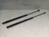 Recambio de amortiguadores maletero / porton para bmw serie 3 touring (e91) 2.0 16v diesel referencia OEM IAM 51247127875 