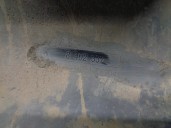 Recambio de aletin trasero izquierdo para bmw x5 (e53) referencia OEM IAM 8402337 