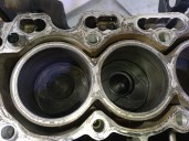 Recambio de bloque para ford fiesta (cbk) 1.4 tdci cat referencia OEM IAM F6JA 1489130 5647982