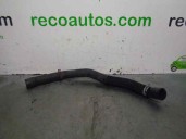 Recambio de tubo para mercedes-benz clase a (w169) 2.0 cdi cat referencia OEM IAM A1695011082ZG  