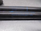 Recambio de amortiguadores maletero / porton para renault twingo 1.5 dci diesel fap referencia OEM IAM 8200385560 