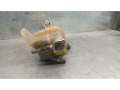 Recambio de deposito expansion para nissan x-trail (t31) 2.0 dci turbodiesel cat referencia OEM IAM 2545217  