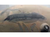 Recambio de paso rueda trasero izquierdo para porsche cayenne (9pa) 3.2 referencia OEM IAM 7L5810971C 95550497101 