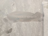 Recambio de cubrecarter para nissan juke (f16_) dig-t 117 referencia OEM IAM 748A26PA1A 748A26PA1A CESTA 37