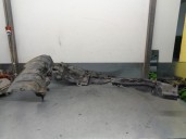 Recambio de paso rueda delantero izquierdo para nissan serena (c23m) 1.6 cat referencia OEM IAM   CESTA 5-A