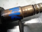 Recambio de sonda lambda para opel corsa d 1.4 16v cat (a 14 xer / ldd) referencia OEM IAM 55562206 