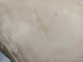 Recambio de deposito limpia para bmw serie 3 berlina (e46) 320d referencia OEM IAM 616783628089  