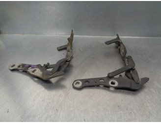 Recambio de bisagra capot para bmw x3 (e83) 2.0 turbodiesel cat referencia OEM IAM 41613452843 41613452844 