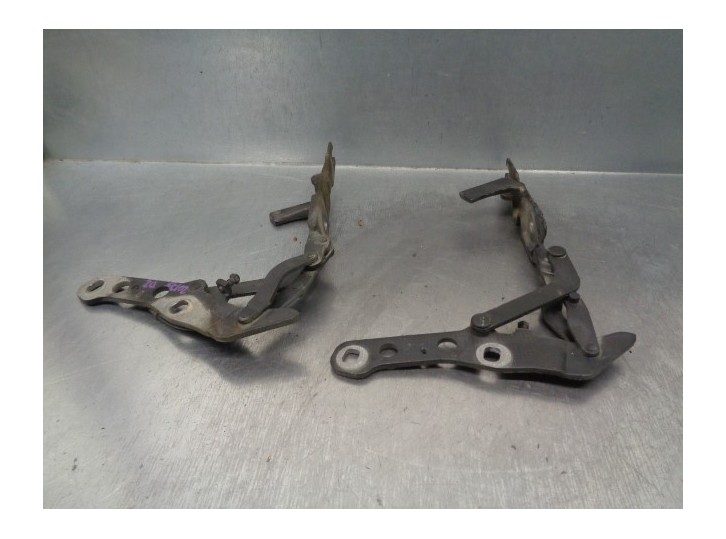 Recambio de bisagra capot para bmw x3 (e83) 2.0 turbodiesel cat referencia OEM IAM 41613452843 41613452844 