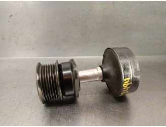 Recambio de polea alternador para ford focus turnier (cak) 1.8 tddi turbodiesel cat referencia OEM IAM 1070812 1070812 
