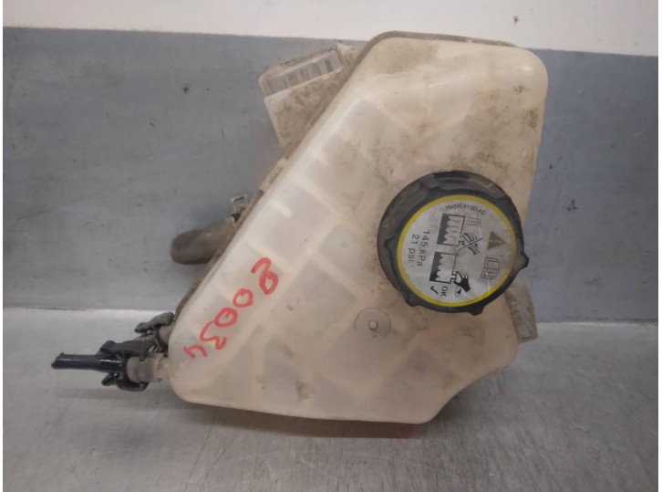 Recambio de deposito expansion para ford fiesta (cb1) 1.25 16v cat referencia OEM IAM 8V218K218BB 