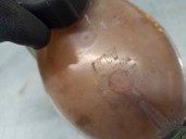 Recambio de deposito expansion para dacia lodgy 1.6 cat referencia OEM IAM 217107259R 