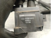 Replacement ignition coil for Ford Focus I (DAW, DBW) 2.0 16V OEM IAM reference AG4209 1317972 