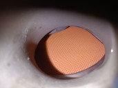 Recambio de filtro de particulas para seat leon (5f1) 1.6 tdi referencia OEM IAM 04L131723DA 04L131670CX 5Q0131705M