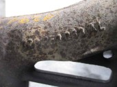 Recambio de colector escape para volkswagen caddy ka/kb (9k9) 1.9 diesel referencia OEM IAM 028253033AL  