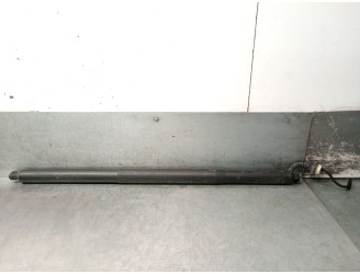 Recambio de amortiguadores maletero / porton para bmw x6 (g06, f96) xdrive 40 d mild-hybrid referencia OEM IAM 51245A1E357 