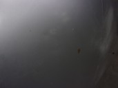 Recambio de capot para mg streetwise 1.4 referencia OEM IAM 5019668 GRIS 