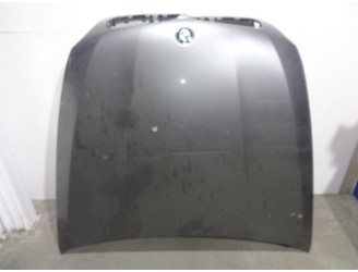 Recambio de capot para bmw x5 (e70) 3.0 turbodiesel cat referencia OEM IAM 41617273439 GRUIS OSCURO 