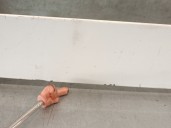 Recambio de molduras traseras para citroën jumpy combi 1.6 blue-hdi fap referencia OEM IAM 9808384080  