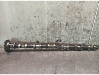 Recambio de arbol de levas para bmw serie 5 berlina (e39) 3.0 24v turbodiesel cat referencia OEM IAM 2246744 