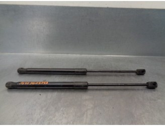 Recambio de amortiguadores capo para bmw x5 (e70) 3.0 turbodiesel cat referencia OEM IAM 51327148346 