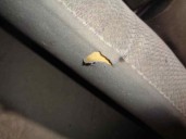 Recambio de asientos traseros para mitsubishi space wagon (n30/n40) 2.0 16v cat referencia OEM IAM 3ª FILA TELA GRIS 5 PUERTAS