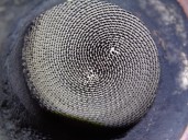 Recambio de catalizador para chevrolet cruze 2.0 diesel cat referencia OEM IAM 96853194  CESTA 3