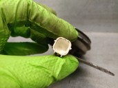 Recambio de claxon para honda cr-v iv (rm_) 1.6 i-dtec (re6) referencia OEM IAM UCH202 