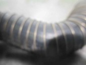 Recambio de tubo para bmw x3 (f25) 2.0 16v turbodiesel referencia OEM IAM 334041502942147  HENN