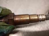 Recambio de sonda lambda para bmw serie 3 berlina (e90) 2.0 turbodiesel cat referencia OEM IAM 780436901 0281004079 BOSCH