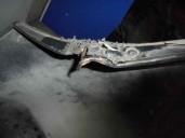 Recambio de paragolpes trasero para daewoo nubira berlina 2.0 cat referencia OEM IAM GRIS VERDOSO 