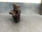 Recambio de pinza freno delantera izquierda para volkswagen sharan (7m6/7m9) 1.9 tdi referencia OEM IAM 7M0615123B 