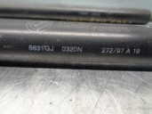 Recambio de amortiguadores maletero / porton para lancia lancia y 1.1 cat referencia OEM IAM 