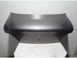 PORTON TRASERO 6920029531 GRIS OSCURO 4 PUERTAS
