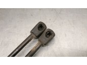 Recambio de amortiguadores capo para bmw 1 (f20) 116 d referencia OEM IAM 51237239233 51237239233 248570 STABILUS