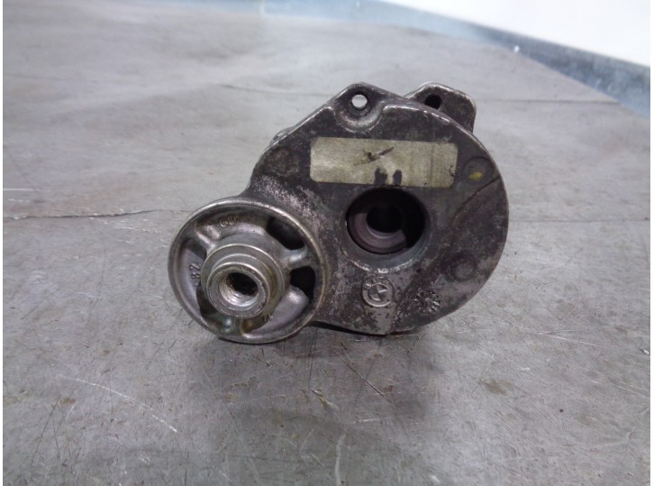 Recambio de tensor correa auxiliar para bmw x6 (e71) xdrive40d referencia OEM IAM 11287800333 