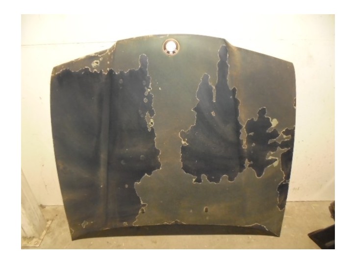 Recambio de capot para bmw serie 3 compacto (e36) 1.6 cat referencia OEM IAM 41618135343 VERDE 