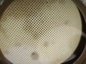 Recambio de catalizador para volvo v40 hatchback (525) d2 referencia OEM IAM 231480497 36011585 