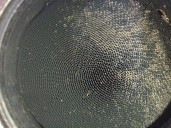 Recambio de catalizador para volvo v40 hatchback (525) d2 referencia OEM IAM 231480497 36011585 